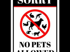 Sorry No Pets Sign